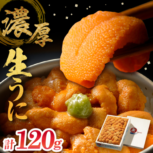 ≪氷温熟成≫生折うに(天然バフンウニ)　120g×1枚_H0009-101