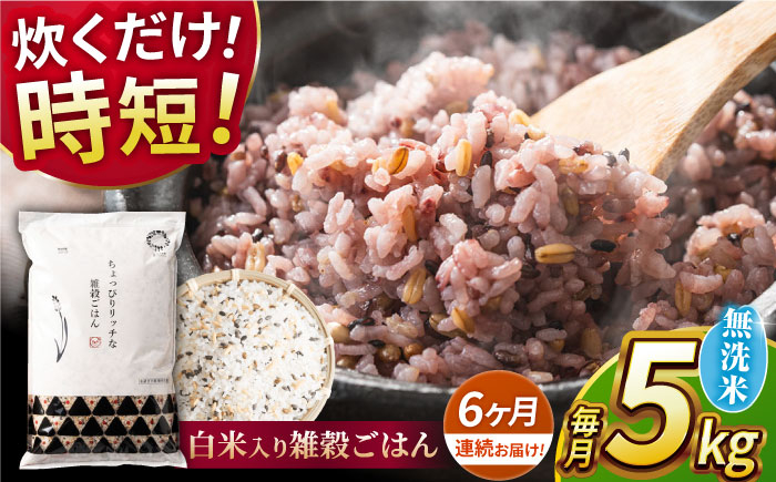 
                  〈令和7年度産米〉 【全6回定期便】水研ぎ不要 雑穀ごはん 無洗米 5kg [沖縄/離島配送不可]【株式会社 農産ベストパートナー】 令和7年産 [ZBP147]
                
