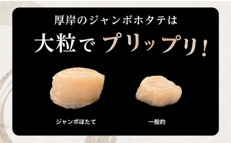 ジャンボホタテ貝柱 1kg (20～30玉前後) 海鮮 ほたて 帆立 ホタテ