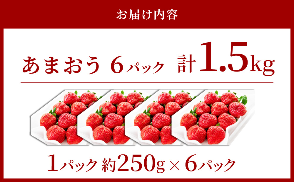 アフター保証対象！【先行予約】福岡産 春 あまおう 6パック（2月上旬より発送）|苺 いちご イチゴ 完熟 あかい まるい おおきい うまい フルーツ 果物 デザート 期間限定 産地直送 冷蔵 お取り寄せ グルメ 送料無料 福岡県 那珂川市