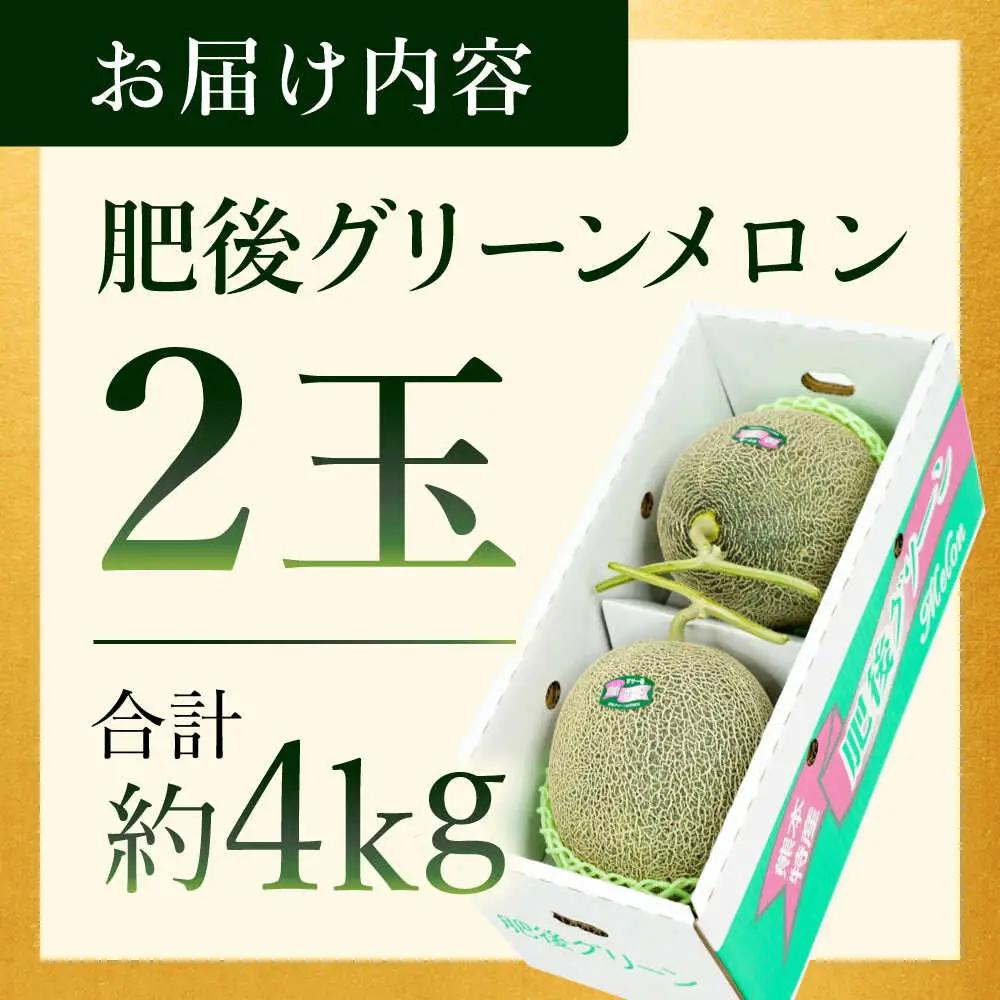 【先行予約】肥後グリーンメロン 約4kg(2玉入) メロン グリーンメロン フルーツ 熊本県産 【日本フルーツ株式会社】 [ZFJ004]