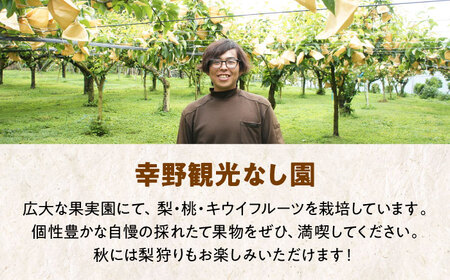 【先行予約】【9月上旬から順次発送】特選 豊水 梨4.5kg（9個から11個入り） 愛媛県大洲市/幸野観光なし園[AGBD003] 梨 梨 梨 梨 梨 梨