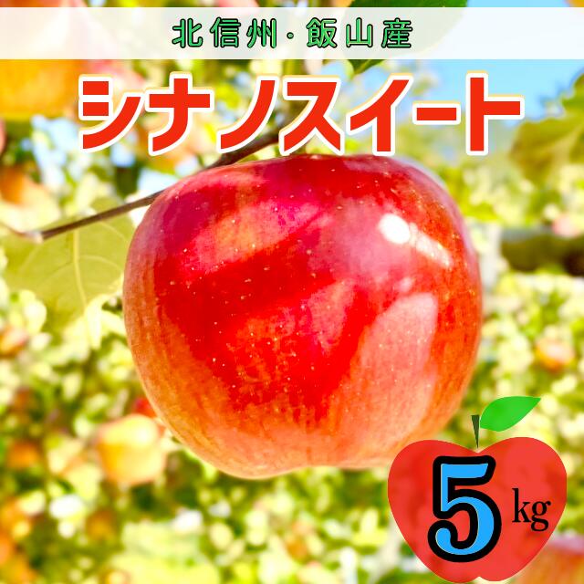 【ふるさと納税】＜先行予約＞シナノスイート【約5kg(12〜18玉)】 ＜出荷開始：2025年10月中旬～下旬頃＞(7-A24-2)【 りんご フルーツ 長野県 飯山市 ギフト プレゼント 記念日 誕生日 父の日 母の日 敬老の日 記念品 シナノスイート リンゴ 林檎 くだもの 果物】