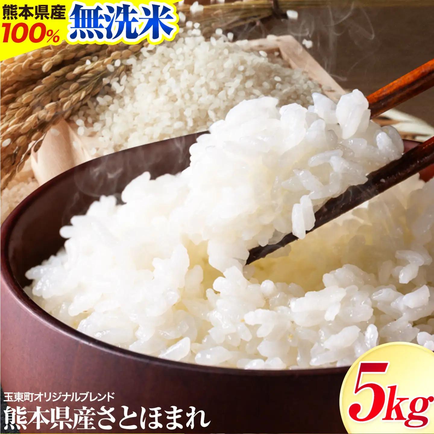 熊本 県産 さとほまれ 5kg ご家庭用 無洗米 熊本