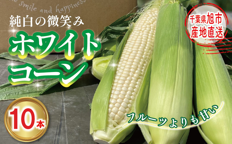 
            【先行予約】 白 とうもろこし 10本 約3.2kg～4.8kg 選べる 訳あり ホワイトコーン 2025年7月下旬～発送開始予定 数量限定 期間限定 ジューシー 甘い シャキシャキ 白い トウモロコシ コーン 白いとうもろこし 旬 野菜 夏野菜 冷蔵発送 送料無料 産地直送 千葉県 旭市 Sai10faRM
          