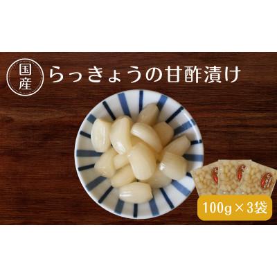 ふるさと納税 田辺市 らっきょうの甘酢漬け100g×3【ksn004】