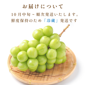 【早期予約限定】シャインマスカット 丹波篠山産 大粒だけ 〈2房・1.5kg以上〉シャインマスカット [PAK02]