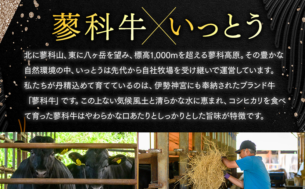 蓼科牛 プレミアムハンバーグセット