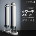 【ふるさと納税】スピーカー オーディオ 全方位 無指向性 Egretta エグレッタ TS1000F ハイレゾ タワー型 オオアサ電子 アンプ非搭載 2本1組