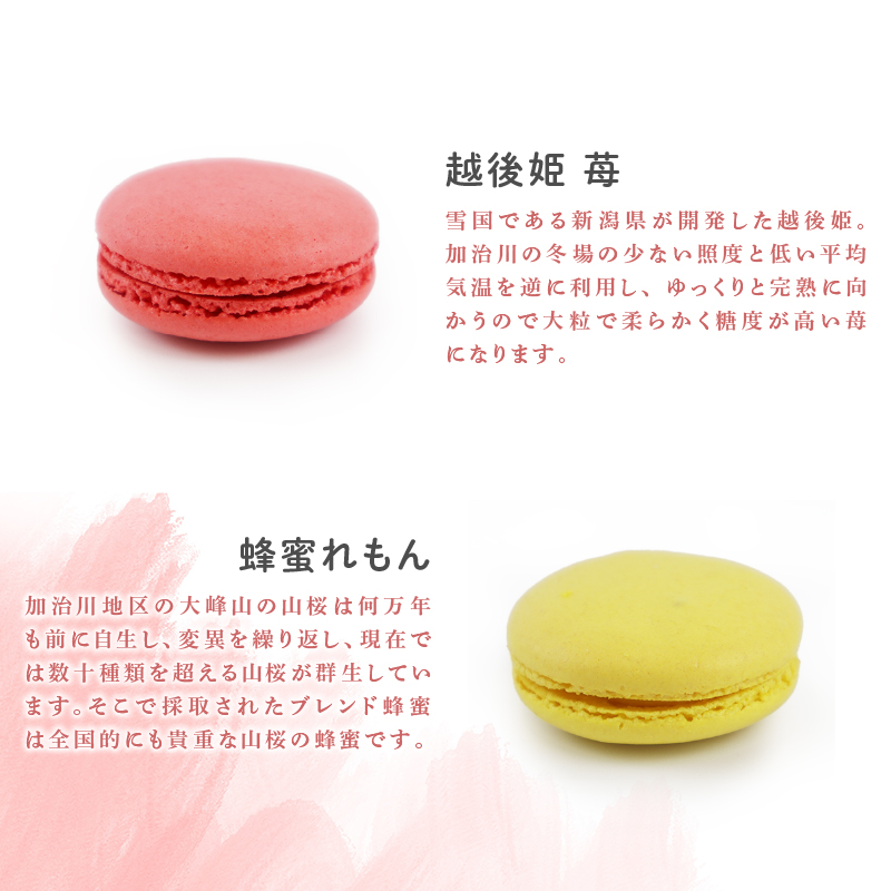 マカロン 1セット イチジク 枝豆 桜 苺 はちみつ レモン いちご えだまめ 洋菓子 菓子 お菓子 スイーツ 甘味 ギフト プレゼント お土産 新潟県 新発田市 sinpo002
