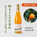 【ふるさと納税】【先行予約】【数量限定】田縁農園の岬（はな）まどんな生果＆紅まどんなジュースセット ｜ 柑橘 みかん ミカン フルーツ 果物 愛媛 ※2024年11月下旬～12月下旬頃に順次発送予定