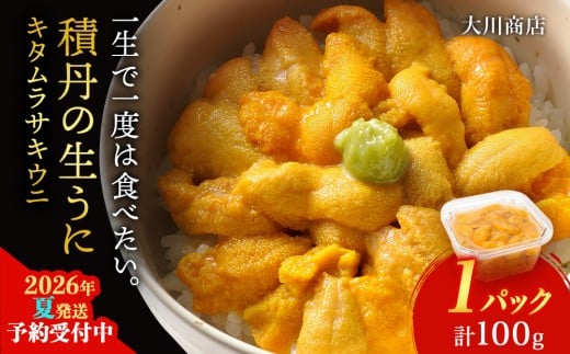 【2026年夏発送分】ムラサキウニ100g×1パック