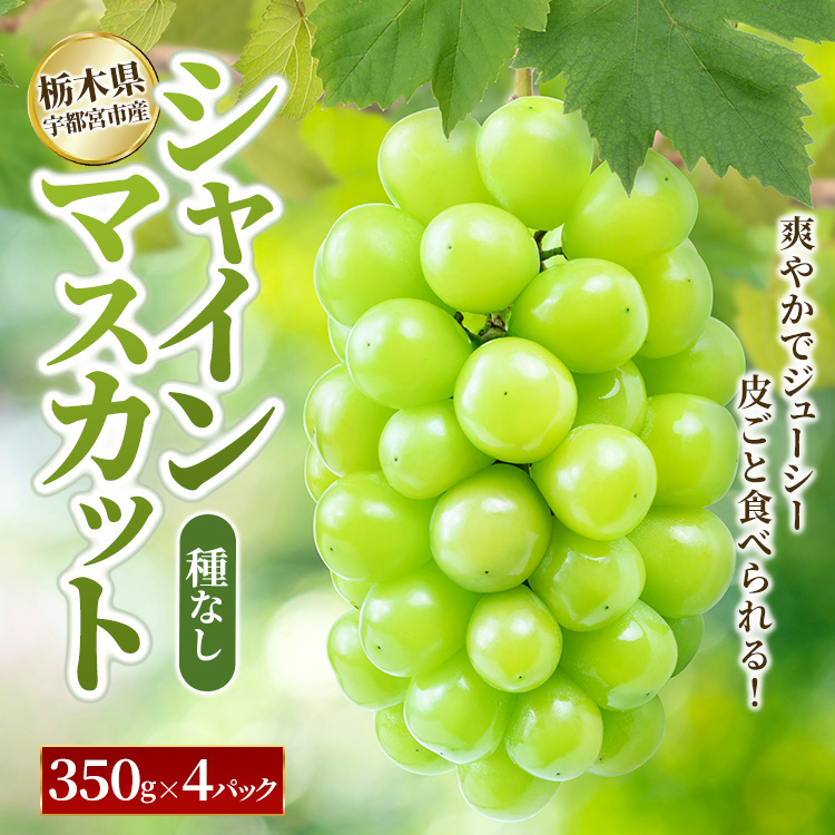 シャインマスカット 350g×4パック｜ぶどう 葡萄 果物 くだもの フルーツ 旬 数量限定 産地直送 栃木県 宇都宮市 ※2025年8月下旬～9月下旬頃に順次発送予定