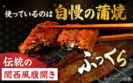  うなぎ 国産うなぎしぐれ煮300g[AQDF016] 鰻 しぐれ煮 佃煮