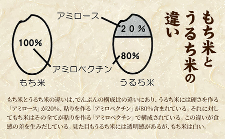 ふうれん特産館もち米2kg×２袋セット (株)もち米の里ふうれん特産館《30日以内に出荷予定(土日祝除く)》【配送不可地域あり】お米 こめ コメ 白米 精米 餅 ご飯 ごはん 赤飯 大福 おはぎ 和菓