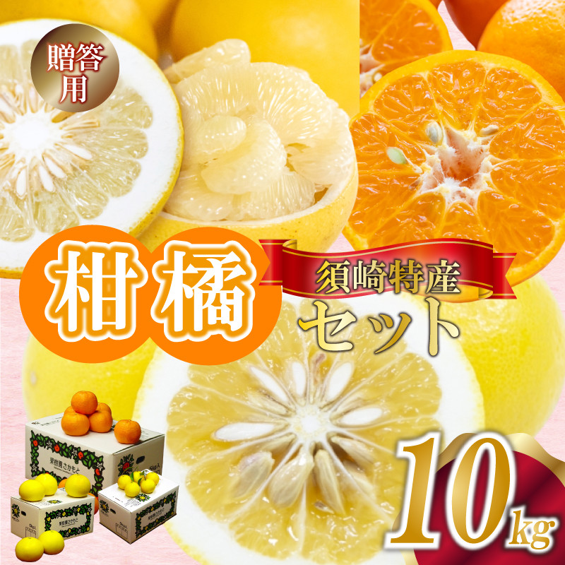 
定期便 3回 限定25セット ポンカン 土佐文旦 小夏 各 10kg 贈答用 須崎特産 みかん ミカン 立目ぽんかん 土佐文旦 ぶんたん 柑橘 贈り物 プレゼント 計 30kg 箱セット 季節限定 数量限定 時期限定 KJS8000
