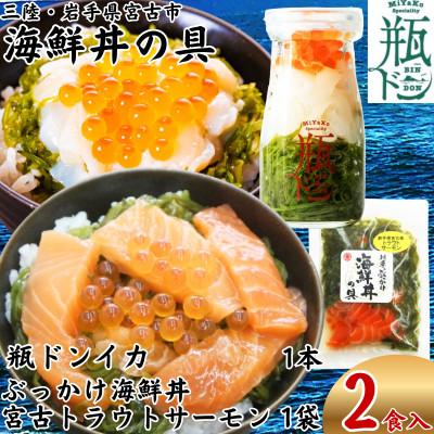 ふるさと納税 宮古市 海鮮丼の具 川秀 瓶ドンイカ1本 ぶっかけ海鮮丼の具宮古トラウトサーモン1袋 計2食セット