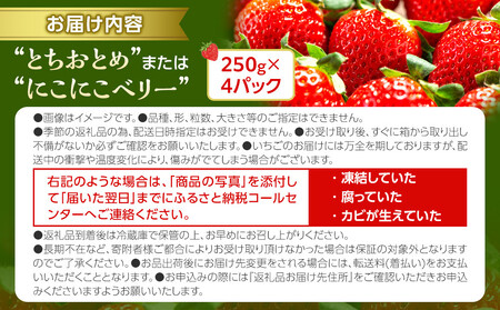 【ふるさと納税】OneBerry いちご農園 品種おまかせ 旬のいちご 250ｇ× 4パック【2026年1月5日以降順次発送】 ｜ いちご イチゴ 苺 宮城県 限定 産地直送 産直 農家直送 角田市