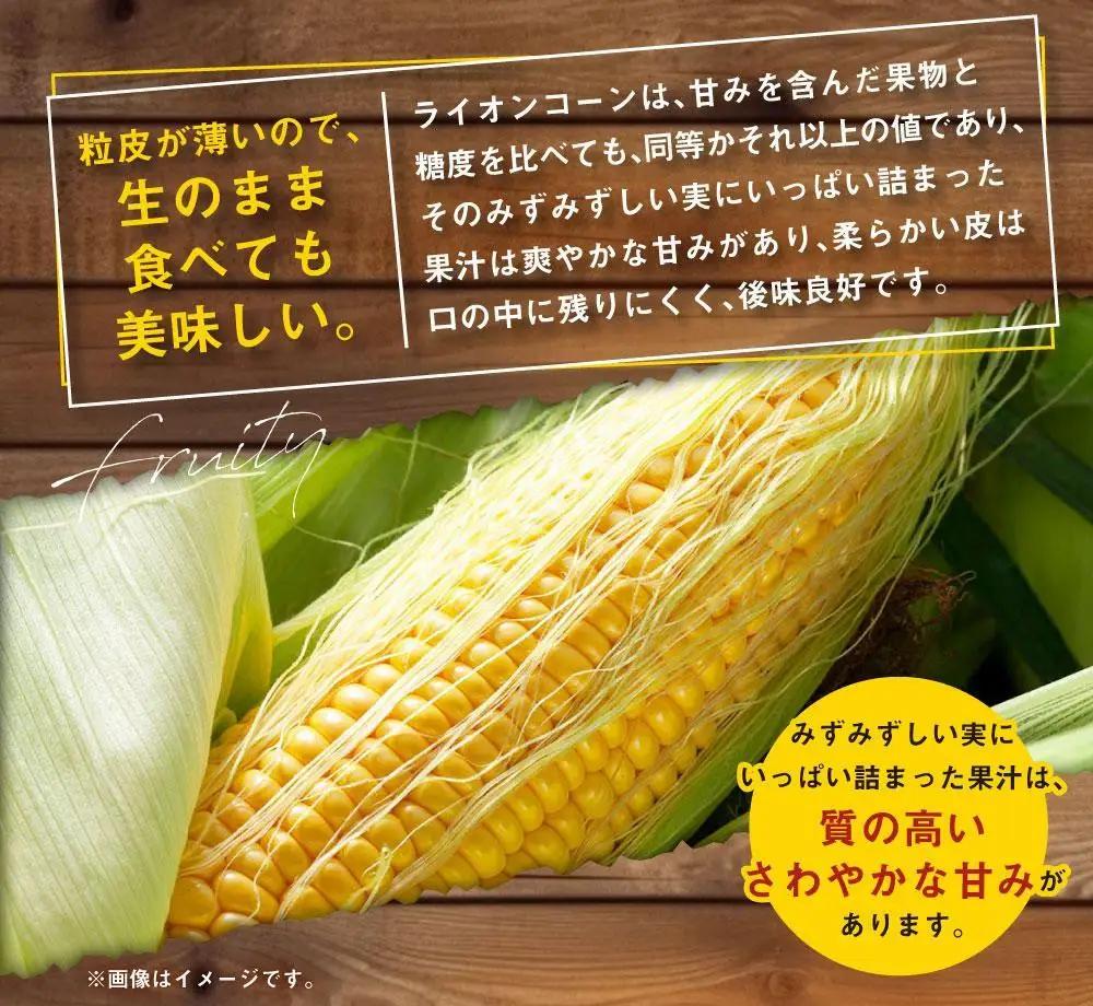 【先行予約】あさひやま動物園ライオンコーン4kg(ゴールドラッシュ10本)2026年8月下旬から発送開始 | とうもろこし とうもろこし 北海道 限定_00307