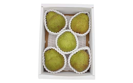 《2026年発送先行予約》山形県産ラ・フランス約1.5kg 約2kg L～4L らふらんす 果物 くだもの フルーツ 山形県産 F4A-1005