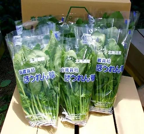 遠別産　有機ほうれん草（約150ｇ×10束）
