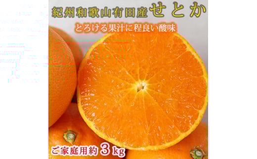 紀州有田産せとか 約3kg ［ご家庭用］とろける食感！ジューシー柑橘［2026年2月下旬以降発送］［先行予約］［UT133］