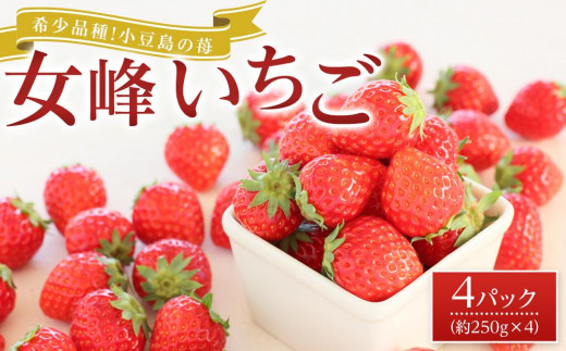 【2027年2月中旬より発送】希少品種！小豆島の苺「女峰」4パック(1パック約250g) いちご 苺 フルーツ 果物 くだもの 青果 人気 小豆島