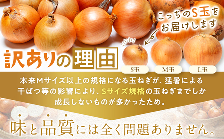 【訳あり】玉ねぎ S玉 5kg | わけあり 小ぶり たまねぎ タマネギ 玉葱 オニオン 大容量 甘い 国産 産地直送 サラダ向け ポトフ シチュー 煮込み 北海道 津別町 送料無料