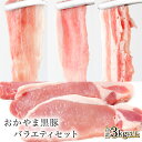 【ふるさと納税】おかやま黒豚 バラエティセット3kg以上（ロースカツ900g & しゃぶしゃぶ用スライス3種2100g) 食べ比べ 肉厚 極薄 豚しゃぶ 豚バラ ロース もも とんかつ ブランドポーク スライス 小分け 冷凍 岡山県産 奈義町 送料無料【配送不可地域：離島】【5830310】