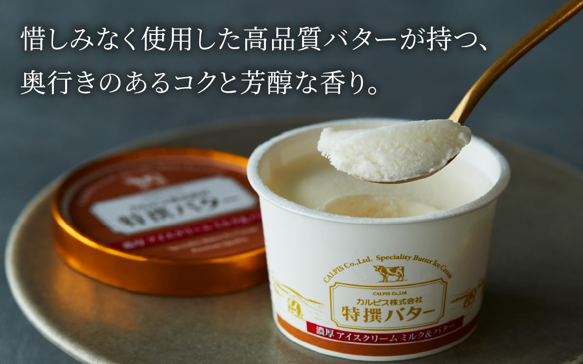 カルピス㈱特撰バターアイスクリーム 10個入