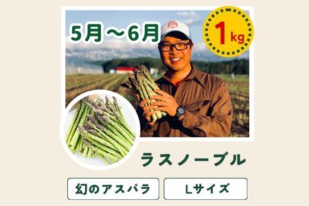 野菜セット 4回 定期便  旬な野菜 新鮮 白樺 美瑛の四季【令和8年産予約受付】 