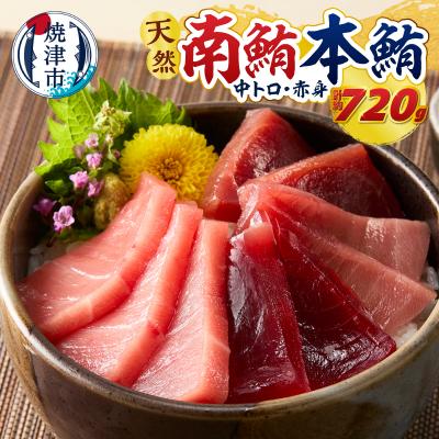 ふるさと納税 焼津市 マグロ 本マグロ 南マグロ 天然 中トロ 赤身 食べ比べ 柵 贅沢 720g(a40-119)
