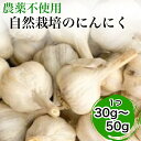 【ふるさと納税】【2025年産 予約】にんにく 1kg・5kg・10kg 京都府・亀岡産 自然栽培のかたもとオーガニックファームよりお届け ※離島への発送不可 ※2025年6月下旬～9月下旬頃に順次発送予定 ☆月間MVPふるさと納税賞 第1号（2020年10月）・SDGs未来都市亀岡