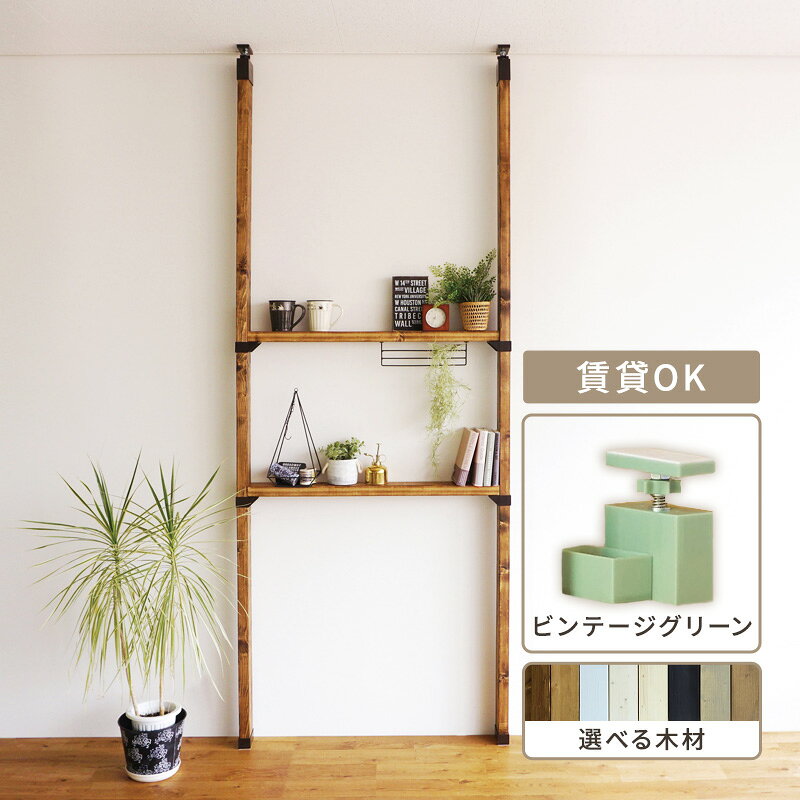 【ふるさと納税】インテリア LABRICO 棚 セット M アジャスター ヴィンテージグリーン 平安伸銅工業 ツーバイ材 ツーバイフォー 棚板 棚受け 壁 壁面 壁面収納 家具 収納 DIY 突っ張り つっぱり棚 固定 賃貸 木 木材 平安伸銅 ラブリコ 兵庫 兵庫県 姫路 姫路市
