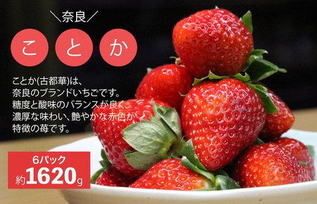 【数量限定】苺 古都華(ことか) 奈良県ブランドいちご 約270g x 6パック 計1620g かたおかの苺
