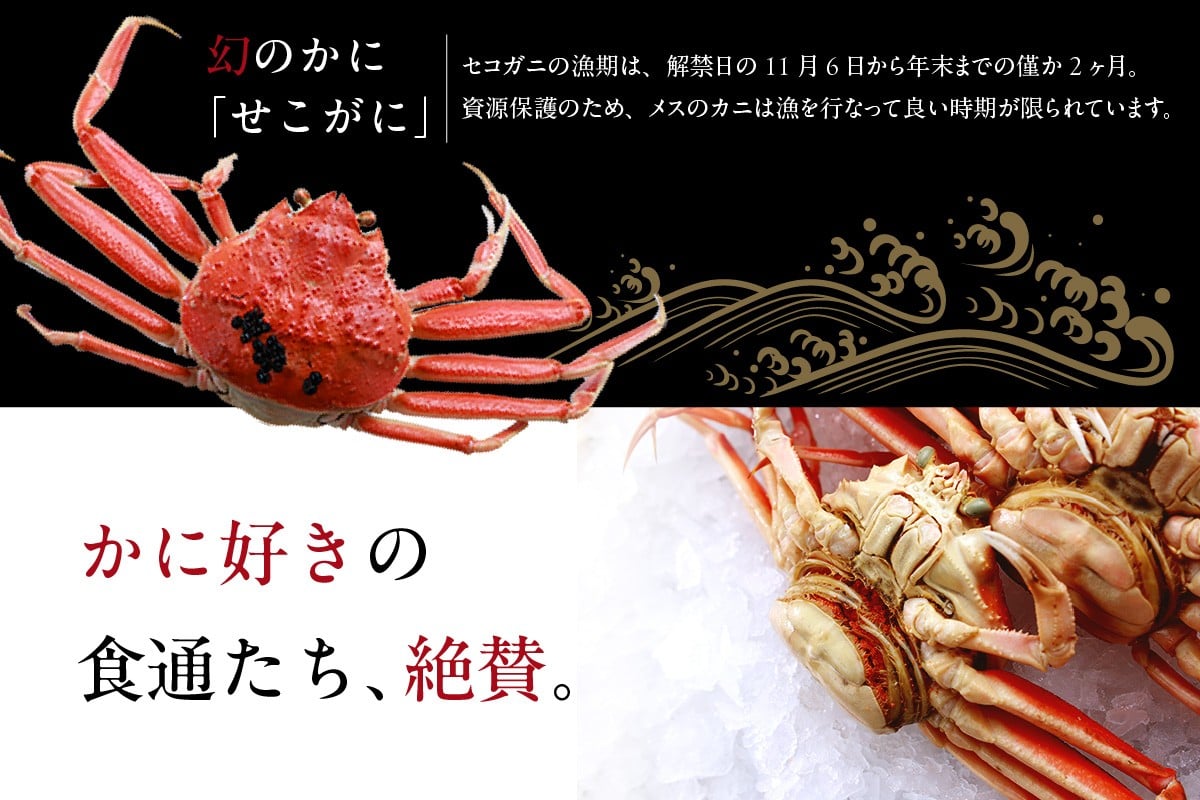 松葉がにのメス「セコガニ」の漁期はたった2ヶ月。