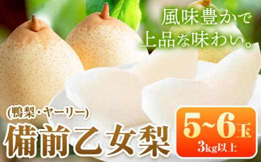 【先行予約】梨 なし 乙女梨 5~6玉 3kg 以上 石原果樹園 なし フルーツ 果物 新鮮《11月中旬-12月下旬頃より発送予定》岡山県 浅口市 果物 フルーツ 梨 鴨梨 備前乙女梨 ヤーリー