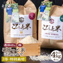 【ふるさと納税】 【令和6年度米】 米 精米 北杜市産 令和6年産 詰め合わせ セット 合計4kg こぴっと米 【極】 農林48号 1等特別栽培米 100％ 大粒 厳選 送料無料