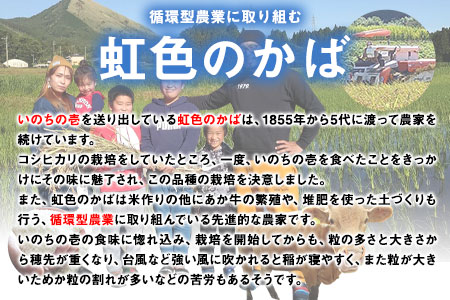 令和5年産 特別栽培米 いのちの壱(玄米)5kg×1 雑穀米付き《90日以内に出荷予定(土日祝除く)》 熊本県 南阿蘇村 熊本県産 虹色のかば 雑穀米