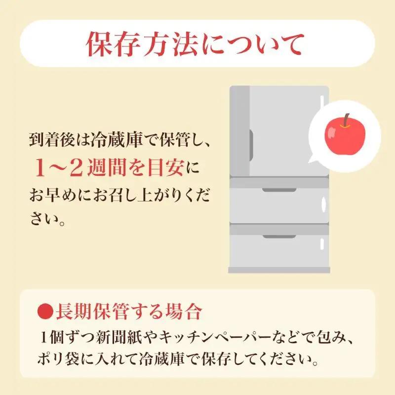 りんご シナノスイート 秀品 約5kg 12～20玉入 リンゴ