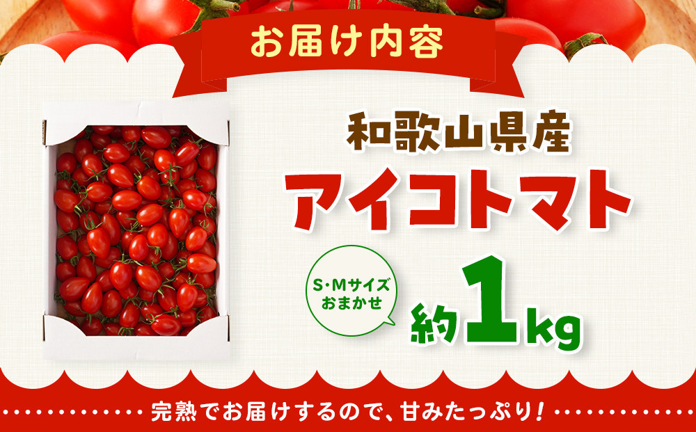 ［2026年4月出荷分］和歌山産ミニトマト「アイコトマト」約1kg（S・Mサイズおまかせ）［TM231］