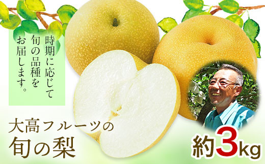 
                  大高フルーツの旬の梨(幸水/豊水/秋麗/あきづき/甘太/新高)★約3kg(5-12玉前後) 《8月中旬-10月上旬頃出荷》予約受付中 フルーツ 秋 旬★熊本県玉名郡玉東町  
                
