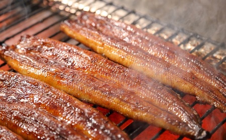 国産うなぎ長蒲焼120g×2尾＆調理済み浜松餃子5ケ入×2パック詰め合わせ【配送不可：離島】 国産 うなぎ 鰻 ウナギ長蒲焼 真空パック 焼き餃子 ぎょうざ 浜松餃子 詰め合わせ 冷凍 浜松市 静岡【