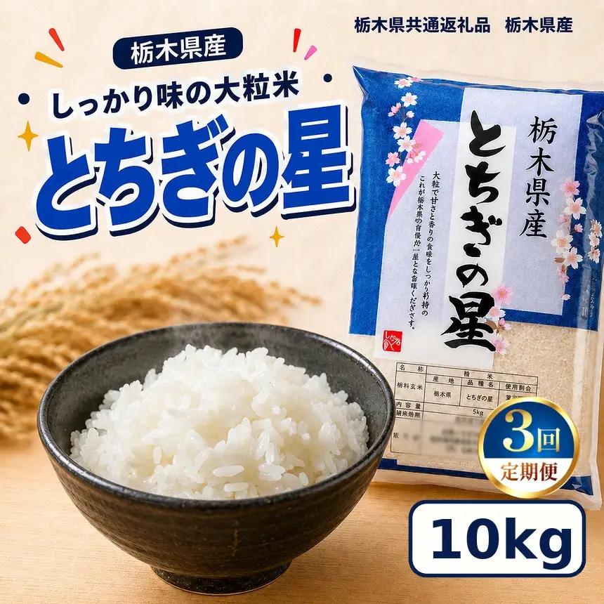 栃木県産 お米 白米 とちぎの星 10kg | 栃木県 矢板市　栃木県共通返礼品 栃木県産