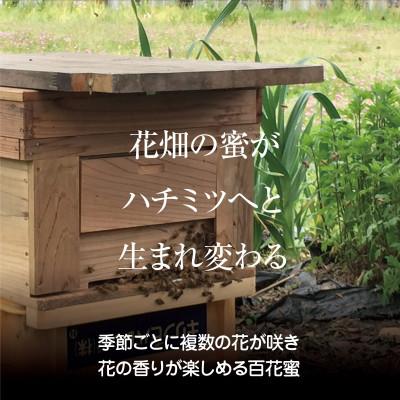 ふるさと納税 南丹市 摩氣蜜 100g+200gセット |  | 02