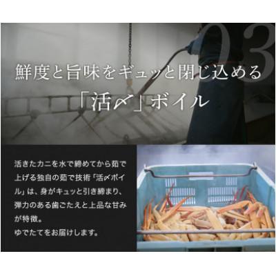 ふるさと納税 智頭町 【蟹セレブ】タグ付き活〆ボイル・松葉がに(大・800g前後) |  | 03
