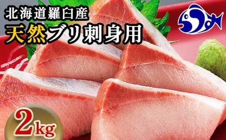 北海道 知床羅臼産 天然ぶり刺身 2kg (250g×8パック) 魚 海産物 魚介 魚介類 ブリ 鰤 刺身 ご飯のお供 冷凍 生産者 支援 応援 F22M-201