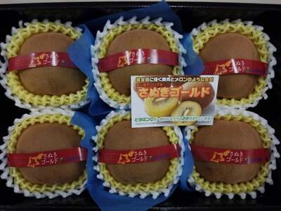 【配送不可地域：北海道・沖縄県・離島】【ふるさと納税】さぬきゴールドキウイ「黄様」超大玉６個入り×２箱【ギフト可】  秋 旬