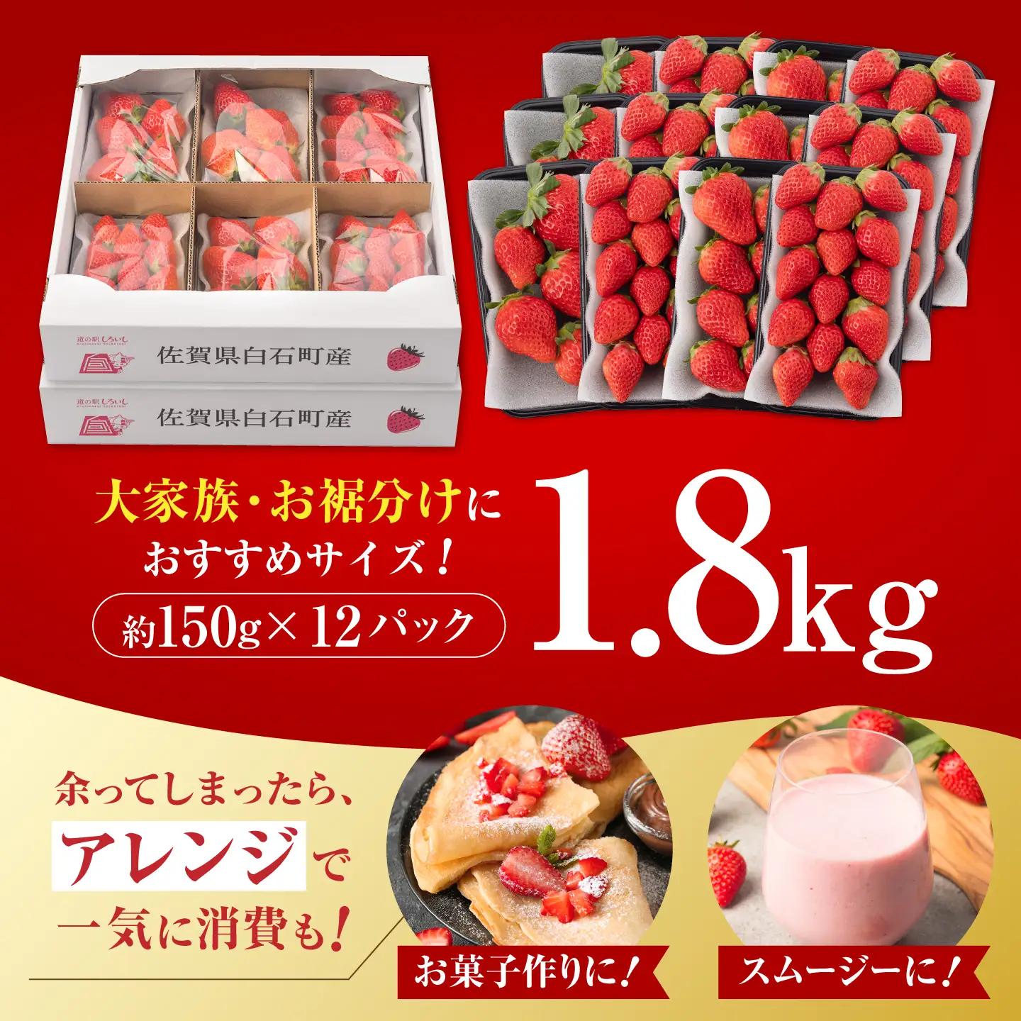 【先行予約 2027年1月〜発送】いちご さがほのか 1.8kg  いちご