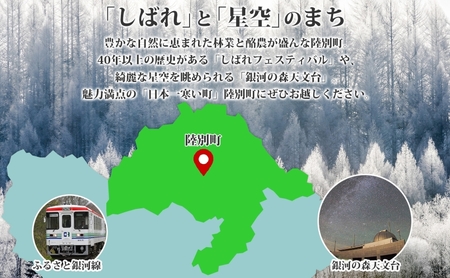 アウトドア用 手作りリュックサック (中) イエロー ハイキング キャンプ リュック 大容量 北海道 陸別町
